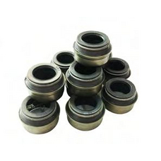 Колпачок маслосъемный D14 HOWO, SHAANXI, LEO TRADE VG1560040032