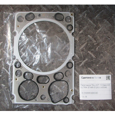 Прокладка ГБЦ WP-10 Евро 4-5 ULTRA STAR 612600040646
